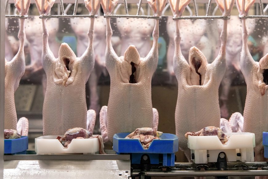 Soluciones integradas para el procesamiento de patos